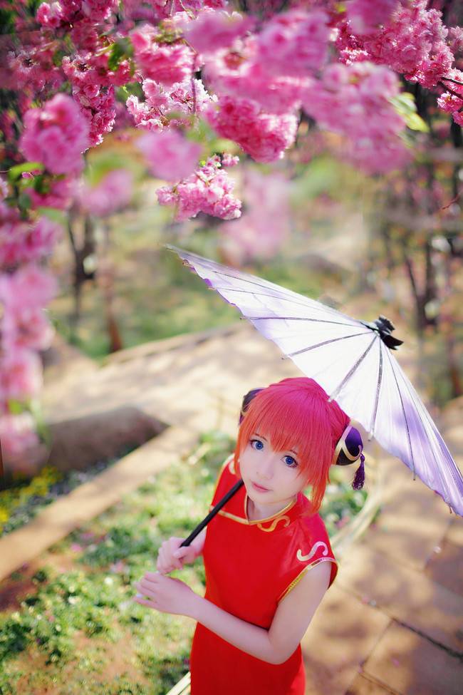 Cosplay福利/银魂 神乐