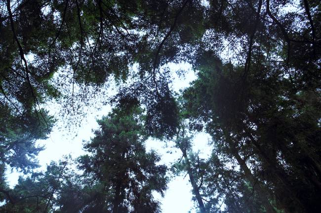 Cosplay福利/恭喜学妹升为四星卡！！！