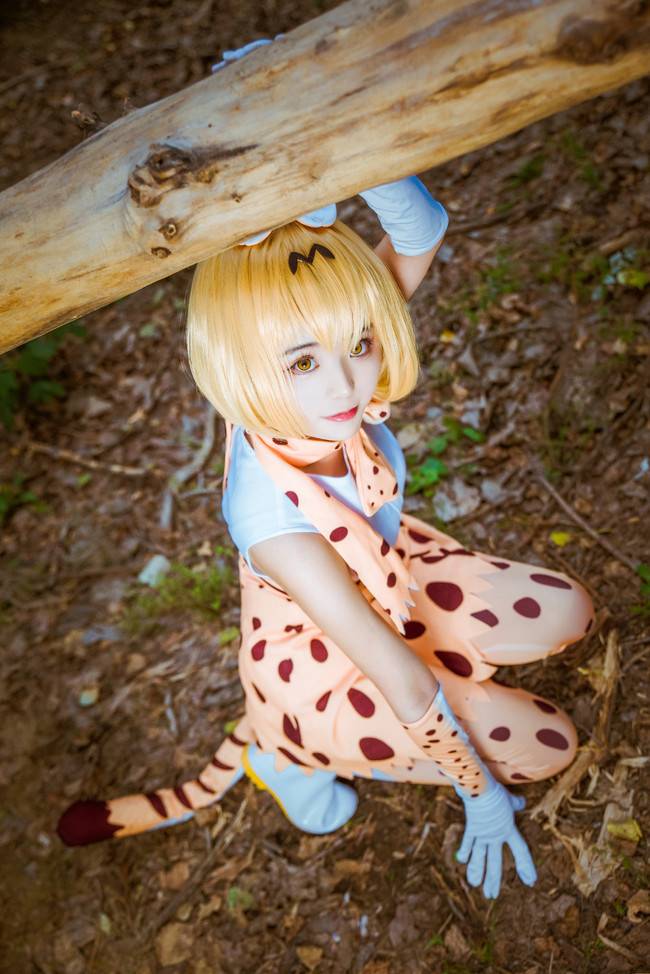 Cosplay福利/兽娘动物园 角色:薮猫 Cn:洛霁无 摄影:北连
