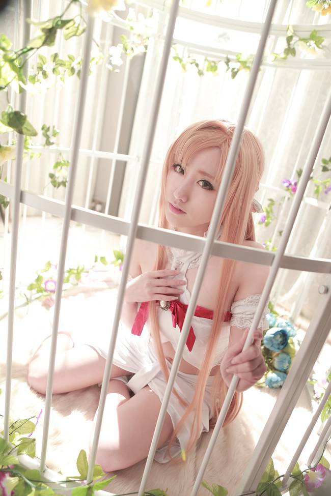 Cosplay福利/刀剑神域亚丝娜御姐性感蕾丝裸足cosplay福利