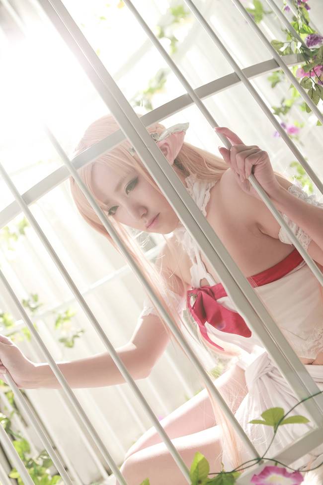 Cosplay福利/刀剑神域亚丝娜御姐性感蕾丝裸足cosplay福利