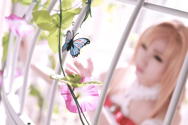 Cosplay福利/刀剑神域亚丝娜御姐性感蕾丝裸足cosplay福利