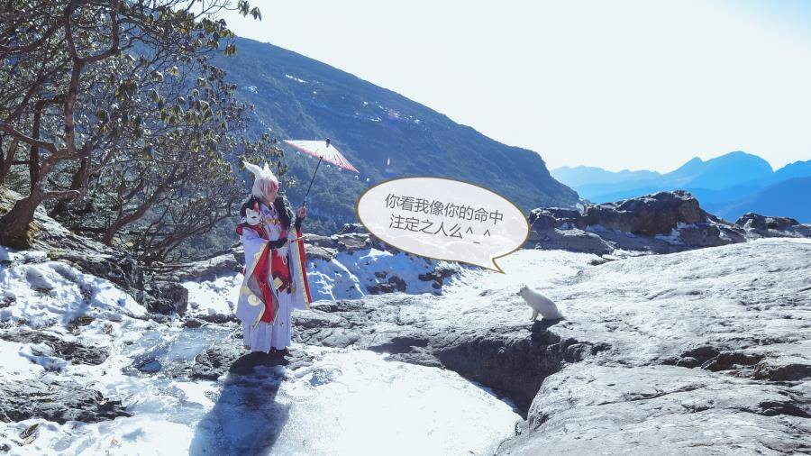 Cosplay福利/阴阳师 妖狐风雅之士cosplay图片