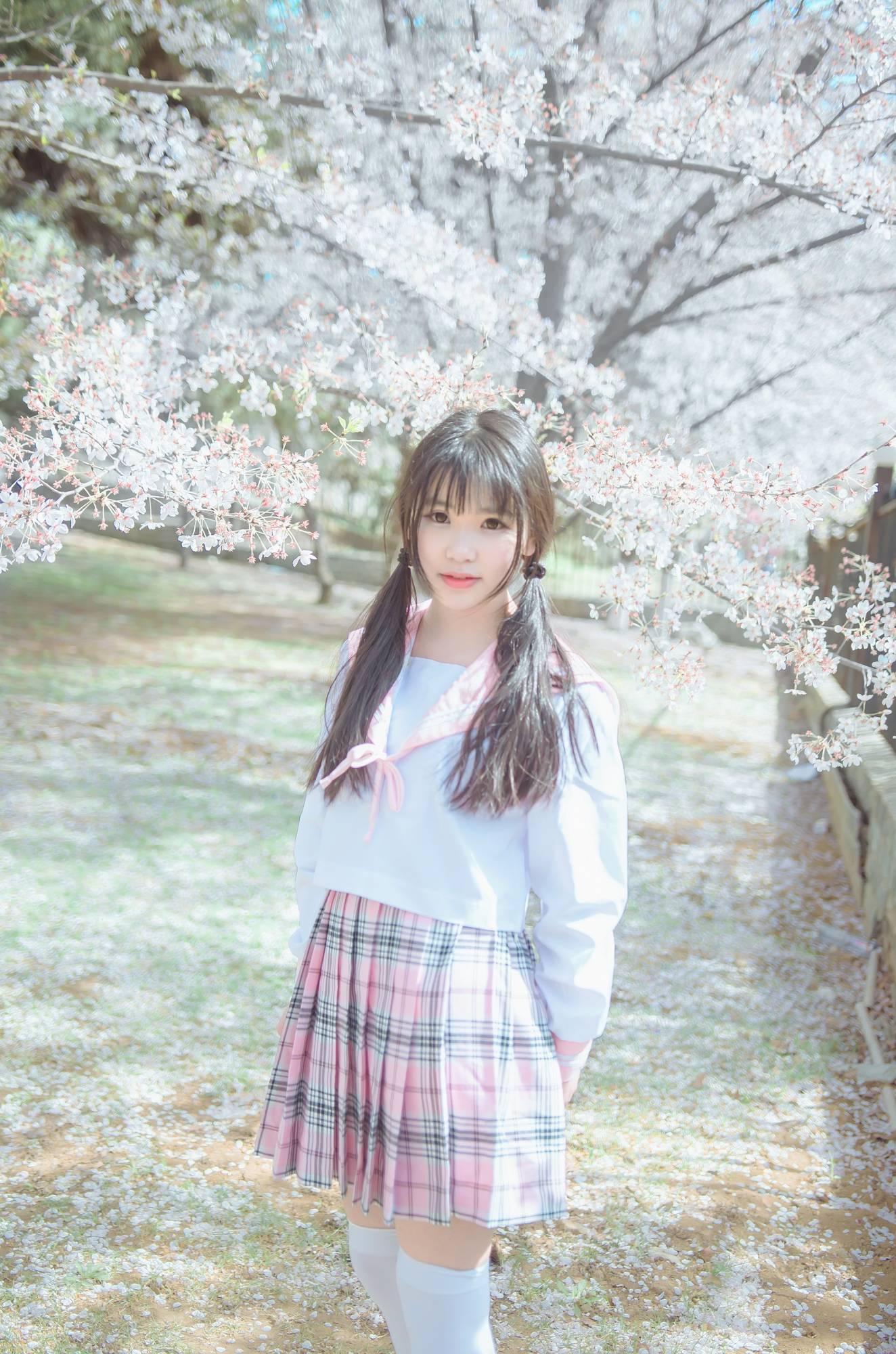 Cosplay福利/《樱花双马尾少女》白丝绝对领域格子裙少女美图欣赏