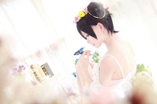 Cosplay福利/清纯萌妹矢泽妮可八月未觉醒COS