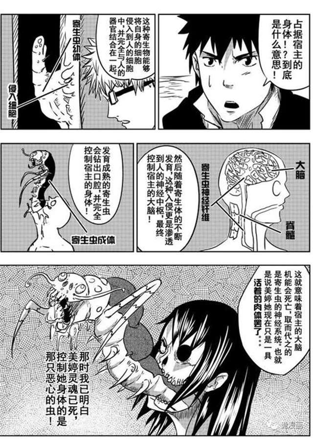 寄生虫钻阴虫漫画 越来越有瘾的寄生虫(漫画)