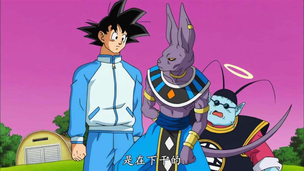 男2号贝吉塔的人气从来没有降低过