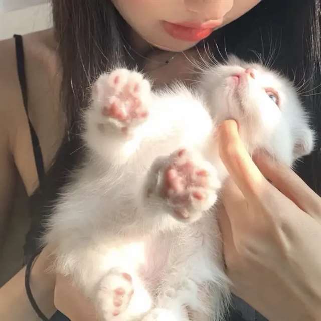 抱着猫侧面的女生头像