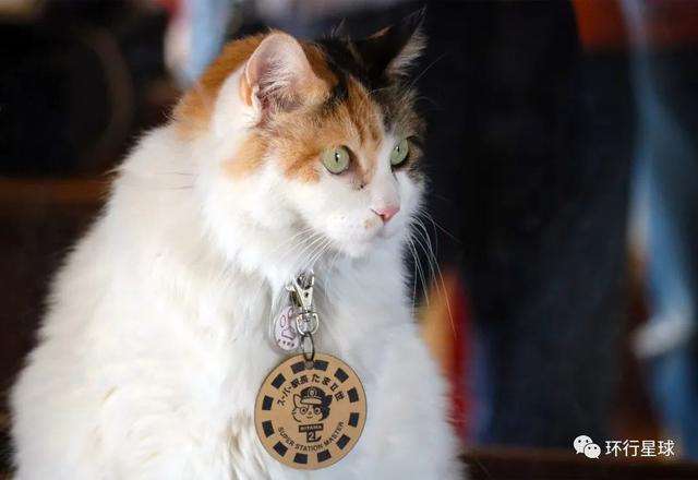 日剧真车网站 男男车车好快的车车网站推荐