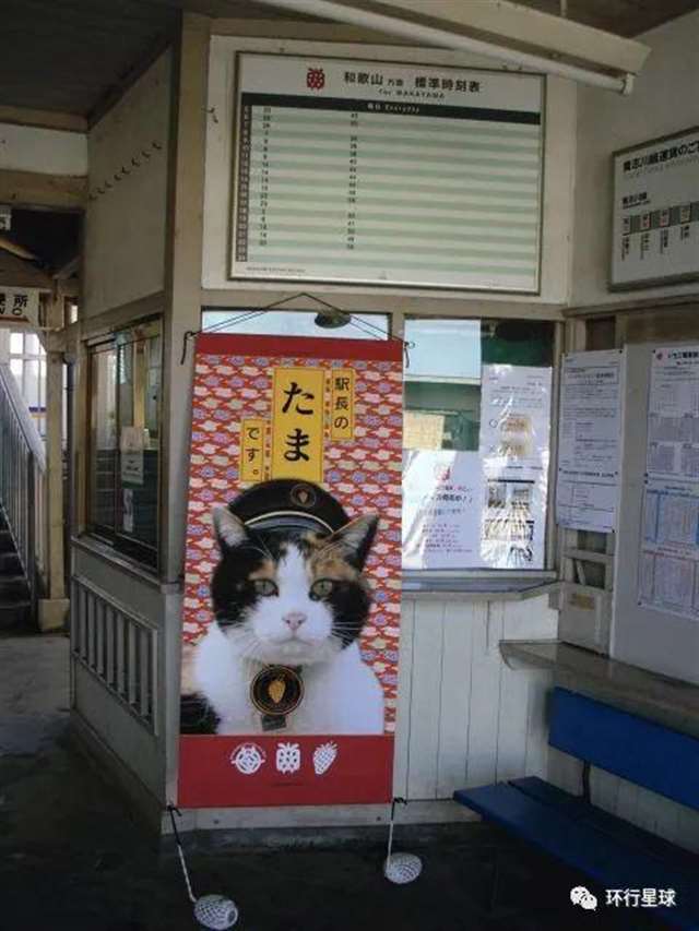 日剧真车网站 男男车车好快的车车网站推荐