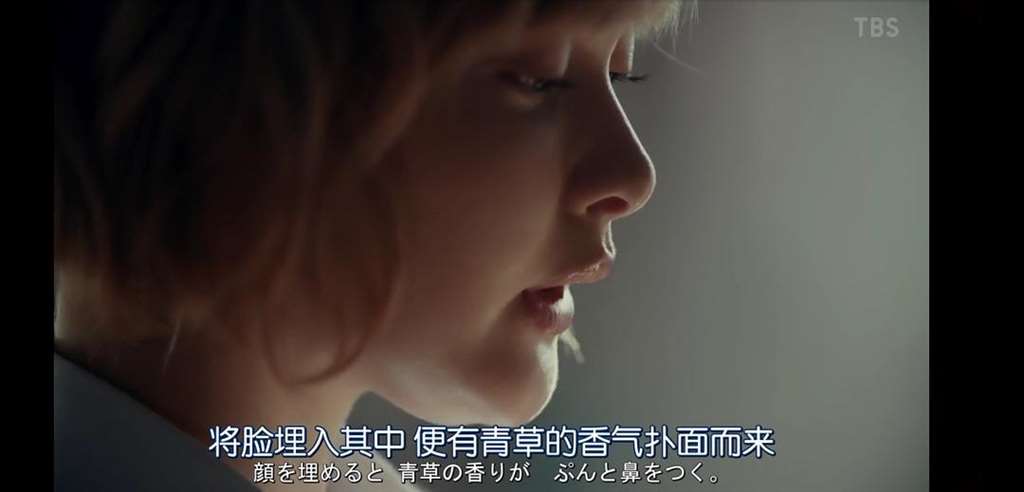  日剧推荐车速快 哪些有真车的日剧