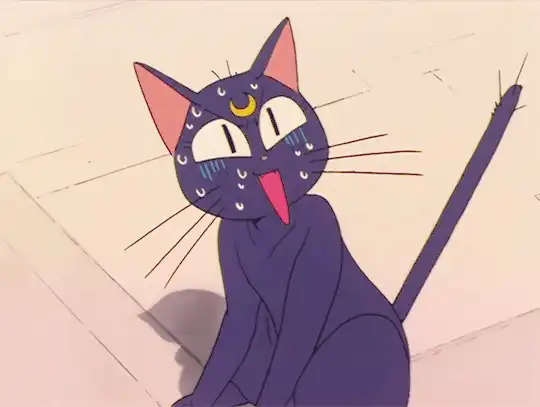 gif图 || 表情包补货了!斗图达人们快快来~