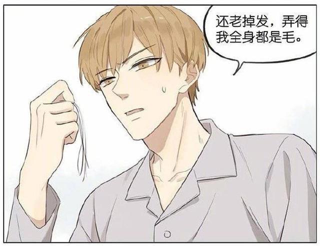 枕头拟人×主人中文汉化本全彩