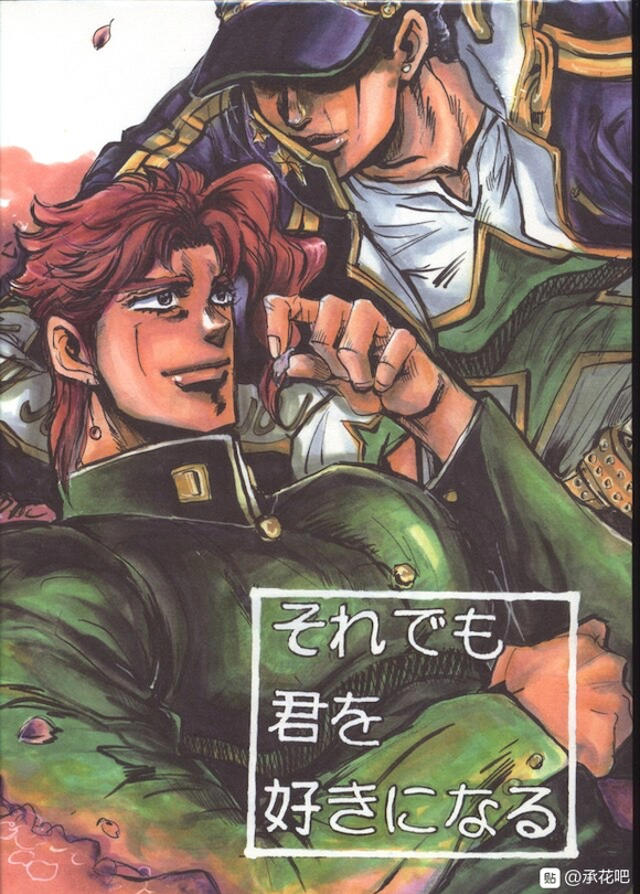 承花鹤子的本整理推荐