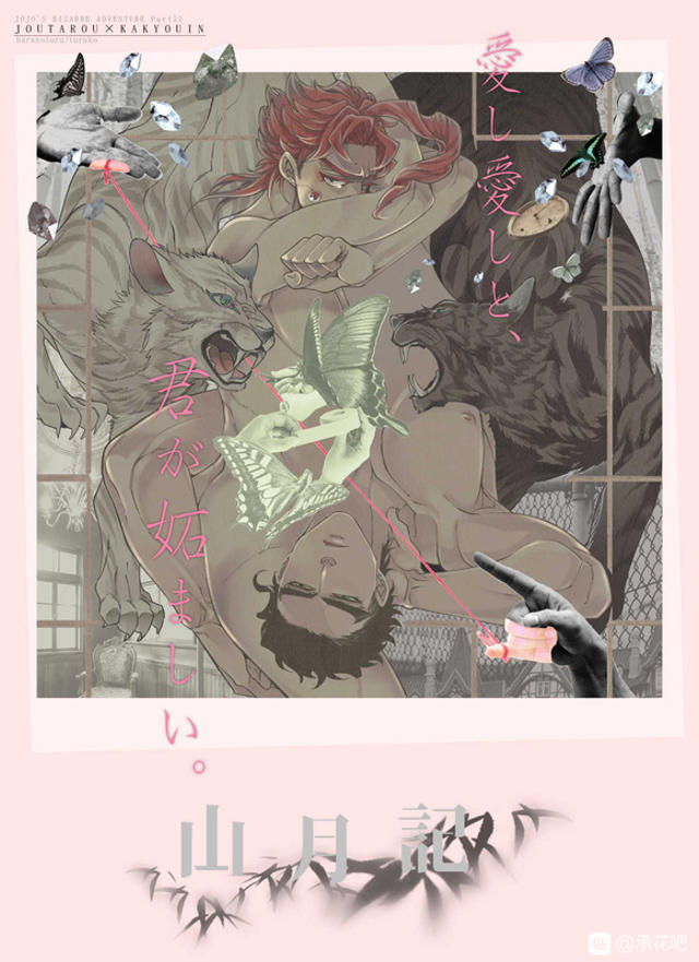 承花鹤子的本整理推荐