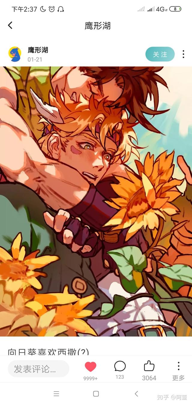 jojo布茸r18车整理推荐