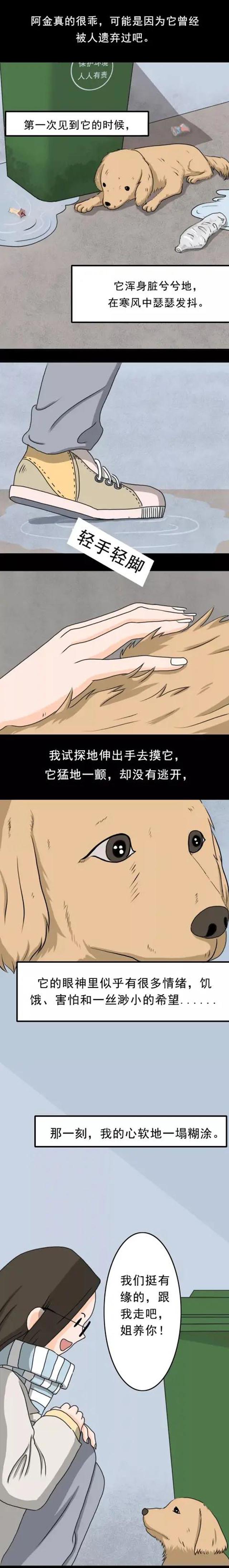 寄养家的狗漫画免费