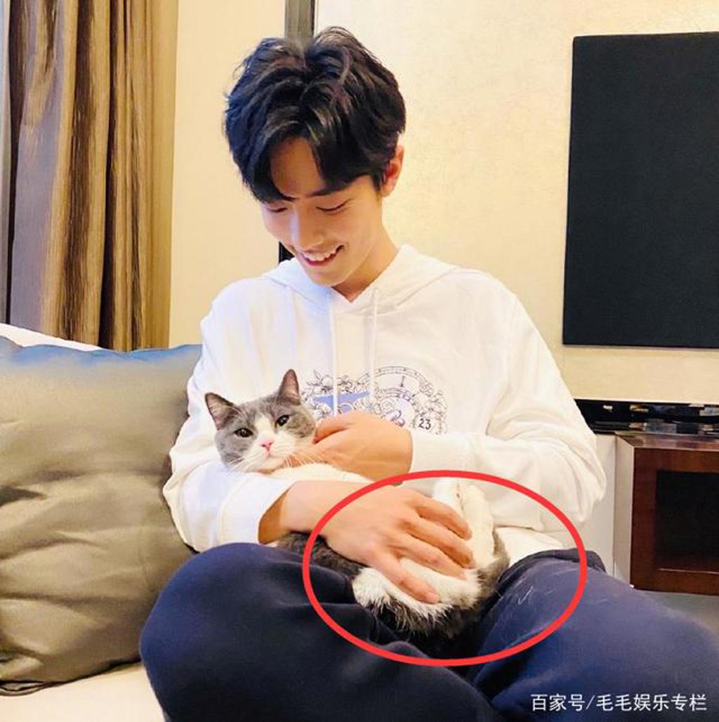 mono猫弄肖战掌中之物耽美文腐漫lofter