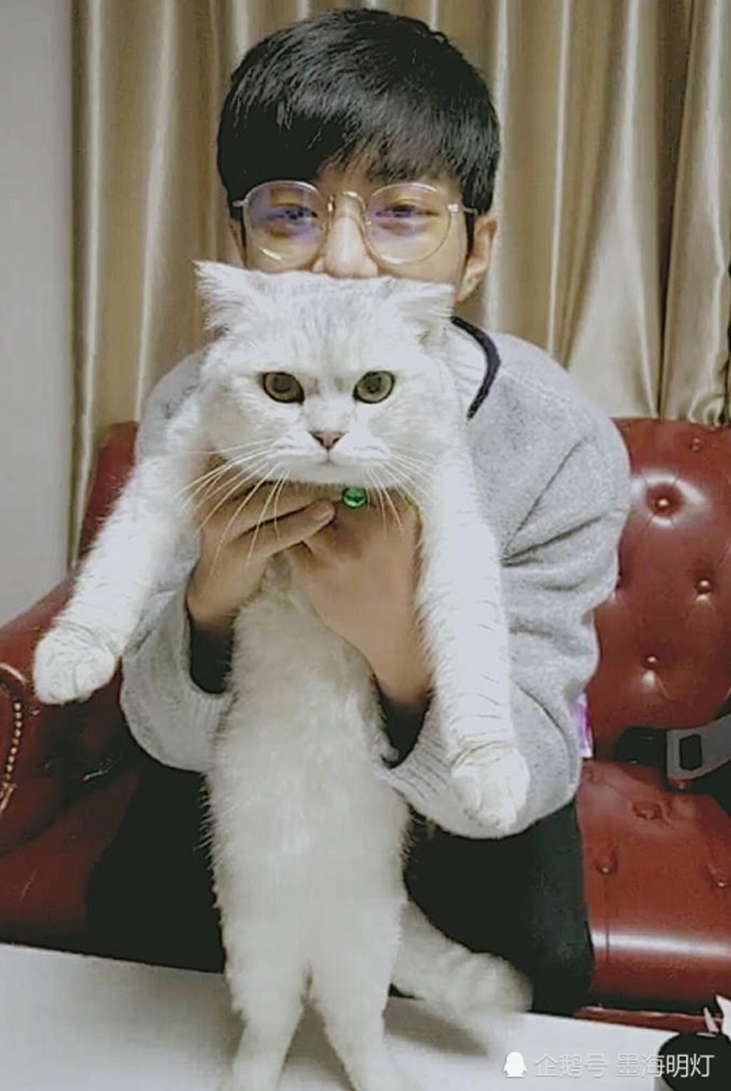 mono猫弄肖战掌中之物耽美文腐漫lofter