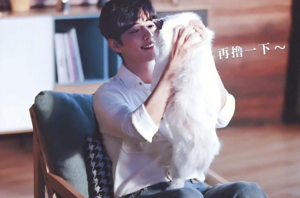 mono猫弄肖战掌中之物耽美文腐漫lofter