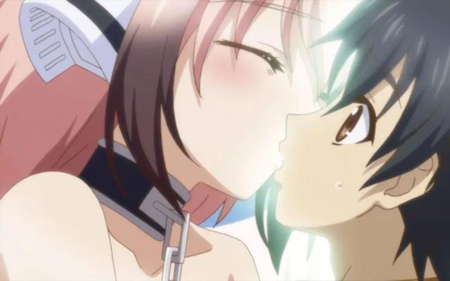 B站这几部必看的“后宫番”,零之使魔排最后,它排第一!