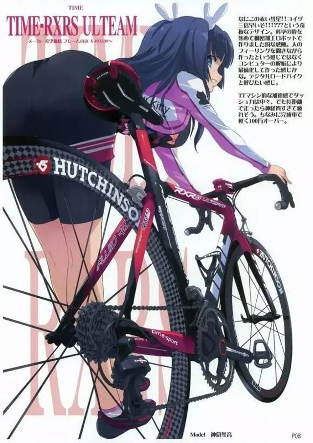 2017,我要养一年的番!