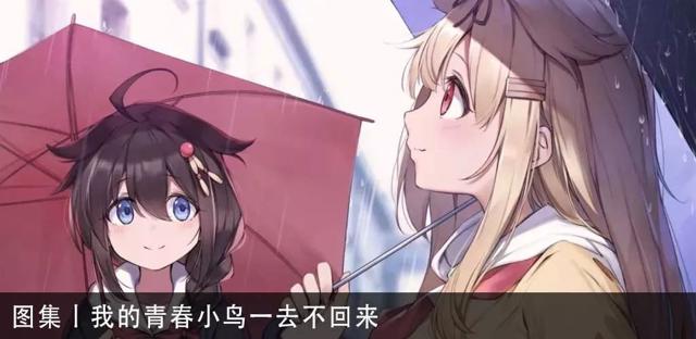 听说东方被开除二次元了?(精选图集系列)