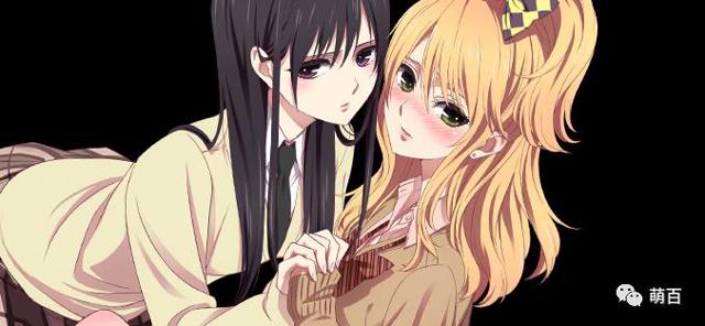 Citrus(内有百合)