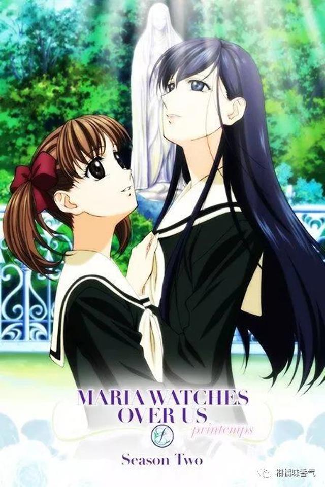 citrus杂谈第一话