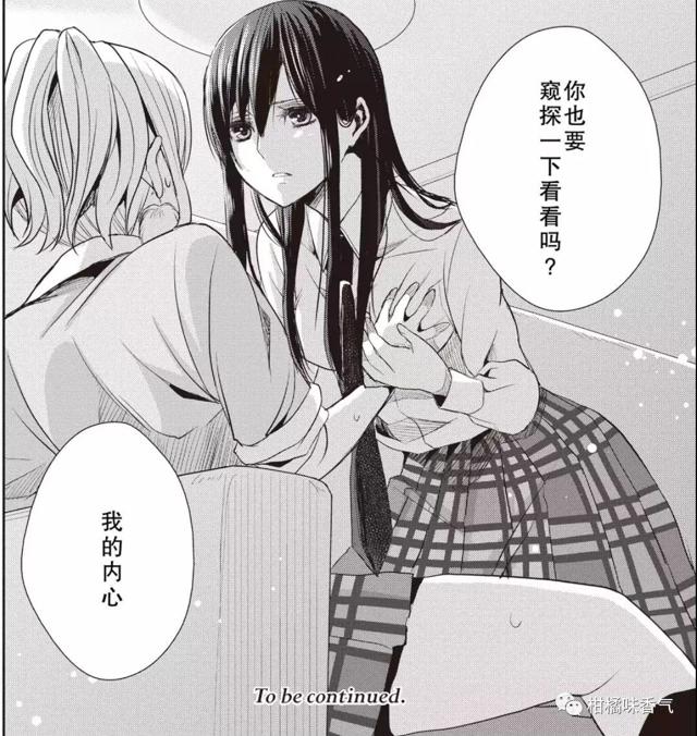 citrus杂谈第一话