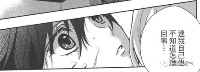 citrus杂谈第一话