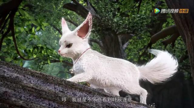 万界神主,澹台月被擒,危难之时叶辰出手相救,神秘萌宠报道