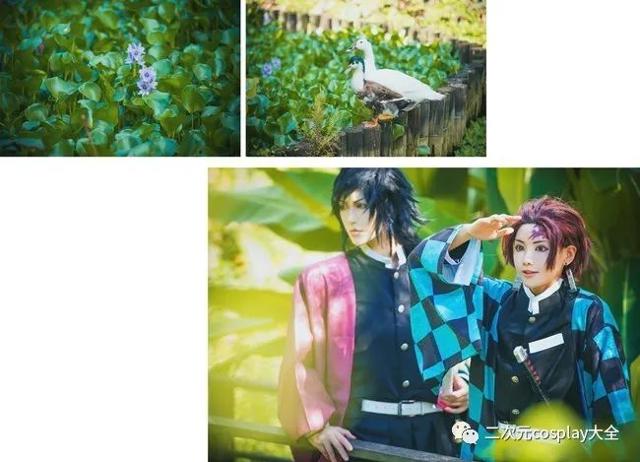 《鬼灭之刃》炭治郎,富冈义勇cos,日常互动和打斗太甜啦!