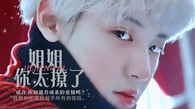 姐姐你太撩了橙光破解版