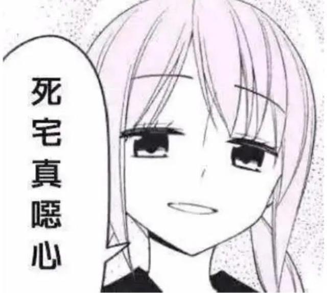 《欢迎来到实力至上主义教室》为何成了萌二的代名词?