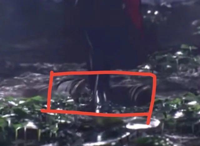 斗罗:鬼斗罗曝光两个能力,吃人不吐骨头,唐三拿他给三叉戟开锋