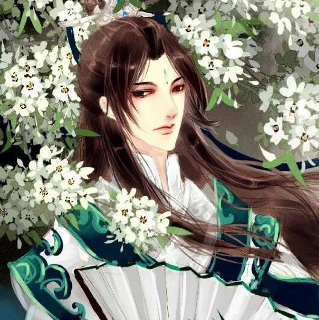 【微信头像】沈清秋