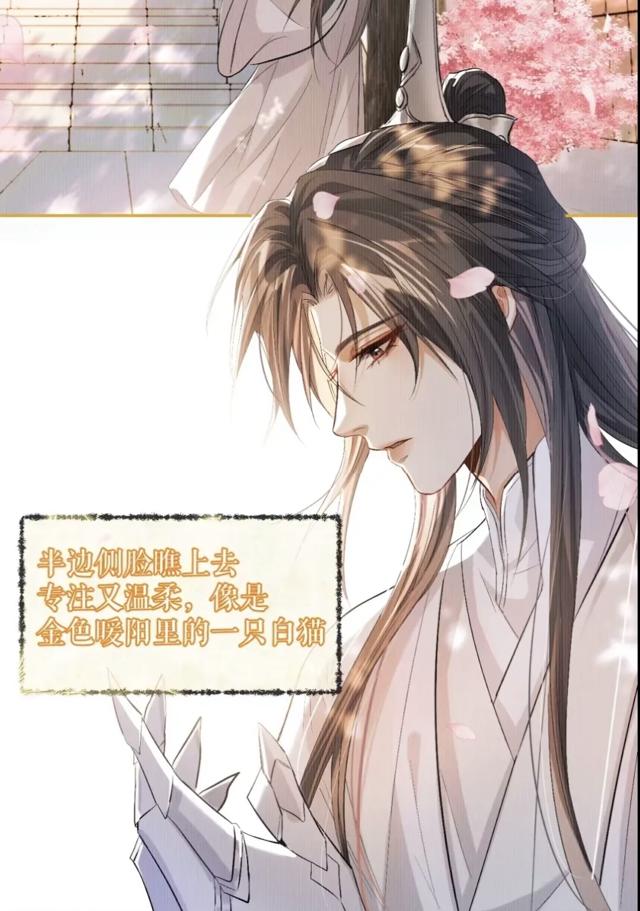 细写开小车车的双男主耽美文腐漫lofter