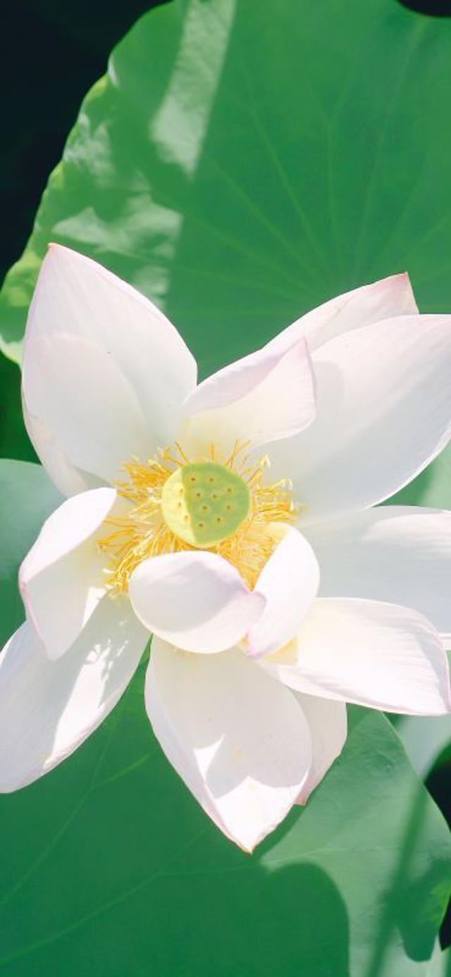 谈谈本人做0的感受